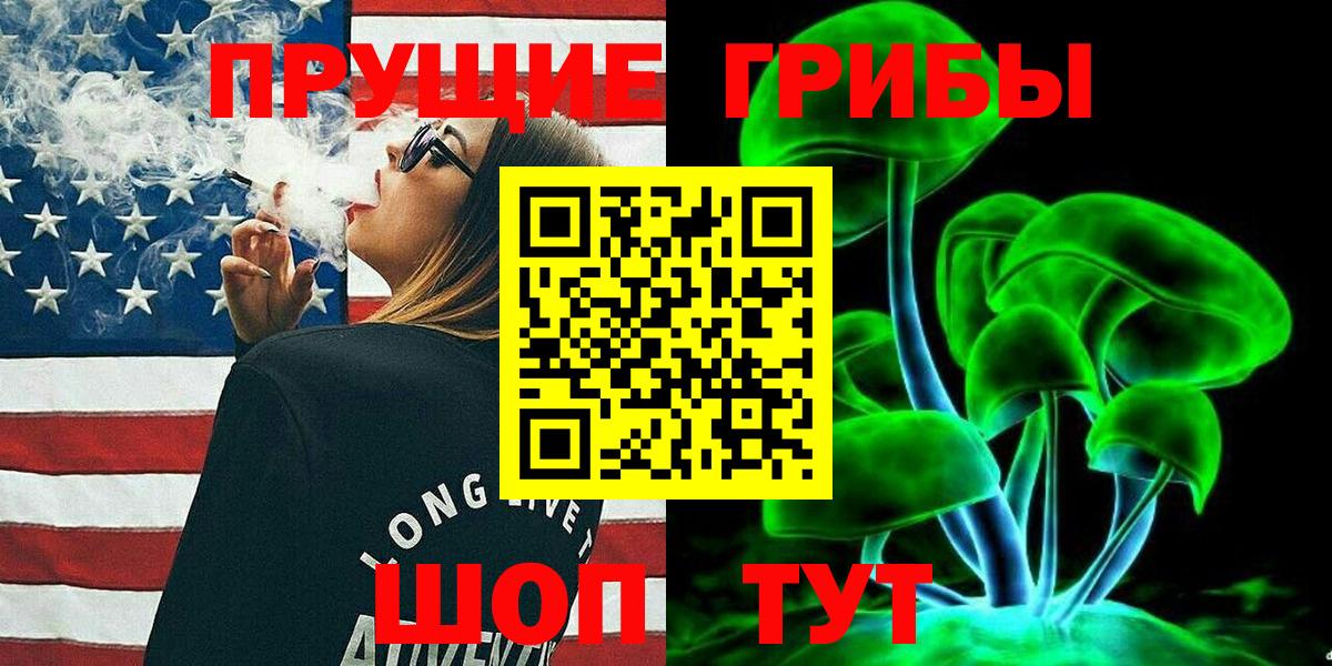 Тулун  Псилоцибиновые грибы GOLDEN TEACHER  Вход с VPN  Псилоцибиновые грибы Psilocybine cubensis 